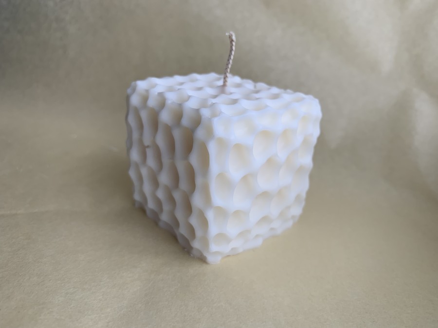 Medutis